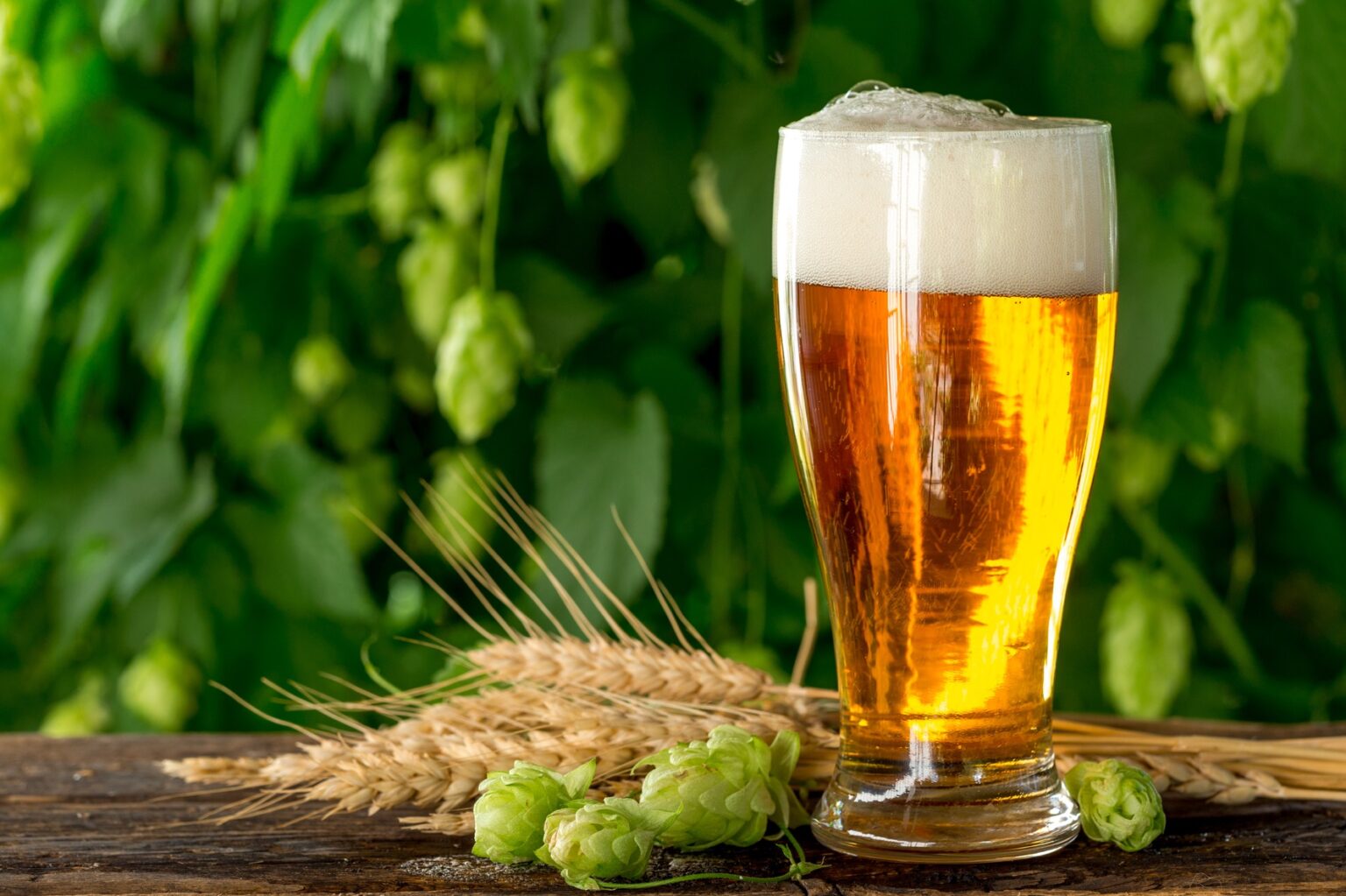 benefits-of-drinking-beer-beer-is-better-for-health